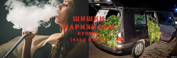 a pvp Новозыбков