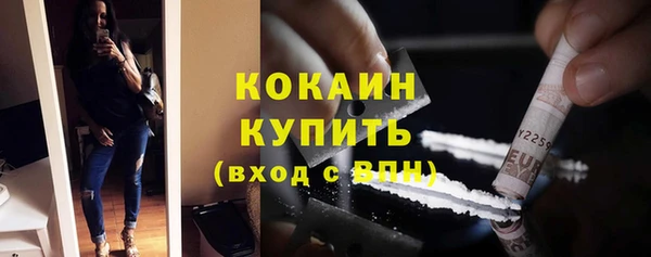 a pvp Новозыбков