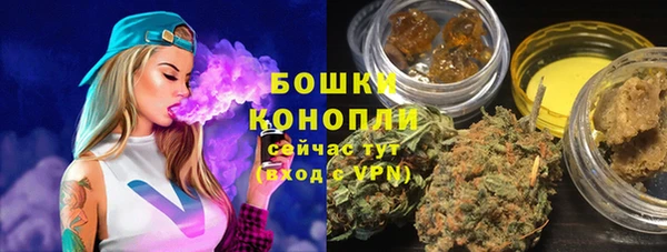 a pvp Новозыбков