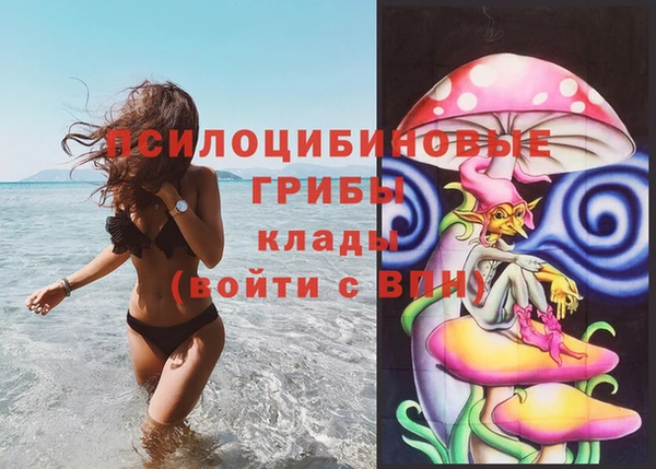 a pvp Новозыбков