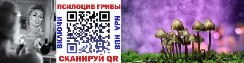 Галлюциногенные грибы Magic Shrooms Тбилисская